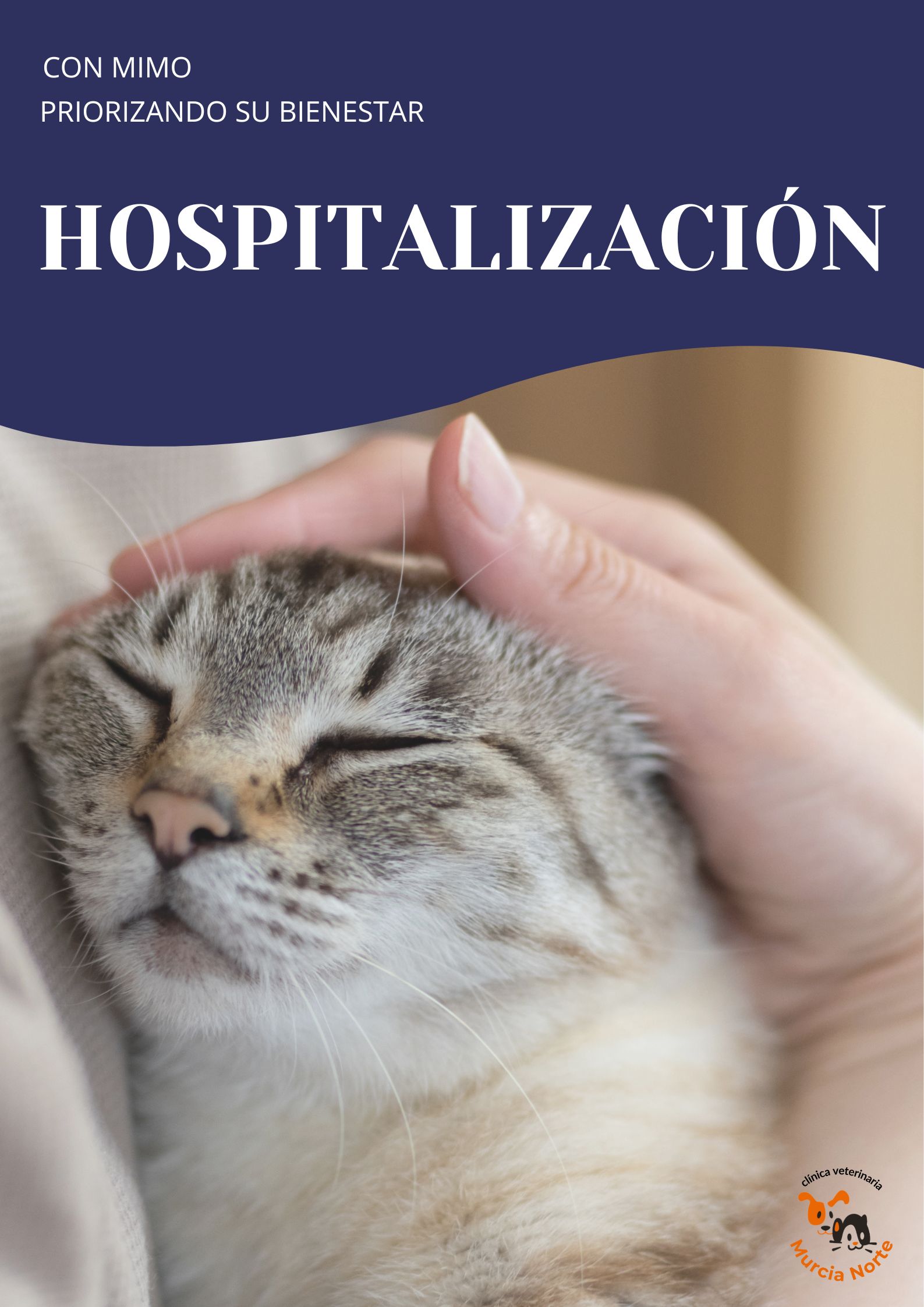 Hospitalización veterinaria en Clínica Murcia Norte. Gato descansando con tranquilidad y cuidados. Atención con mimo y bienestar garantizado.